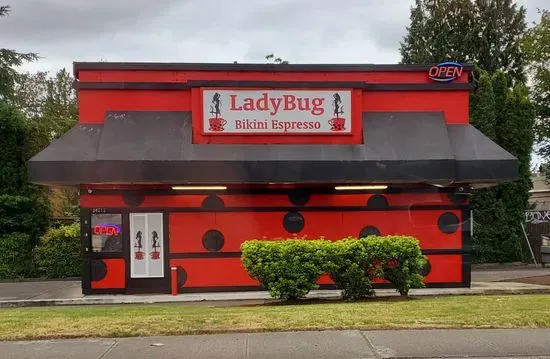 Ladybug Espresso