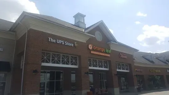 Orange Leaf Frozen Yogurt