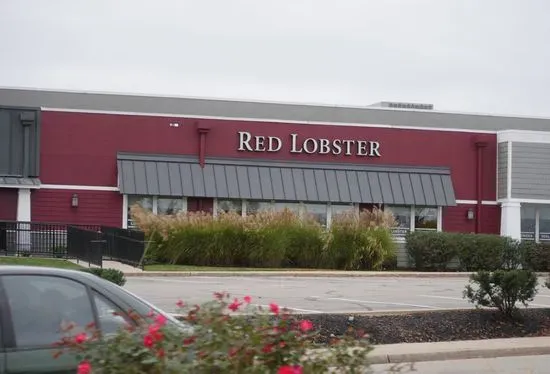 Red Lobster