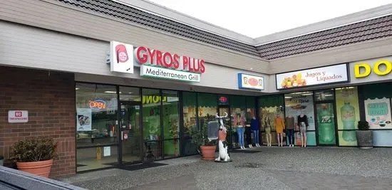 Gyros Plus