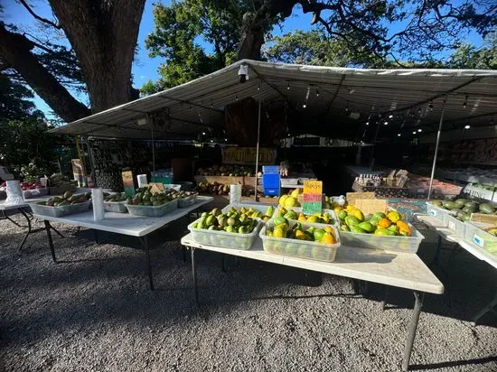 Olowalu Juice Stand