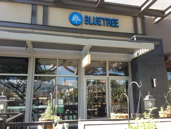 Bluetree Cafe Kapiolani