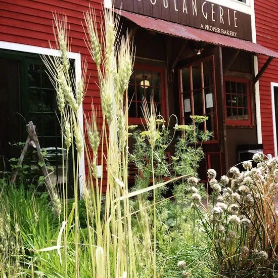 Boulangerie - A Proper Bakery