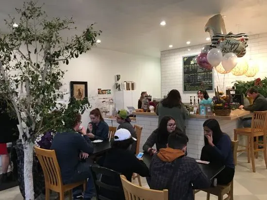 Tinker's Cat Café