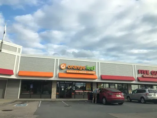 Orange Leaf Frozen Yogurt