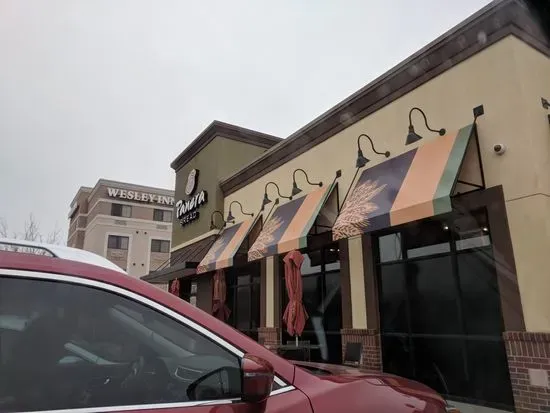 Panera Bread