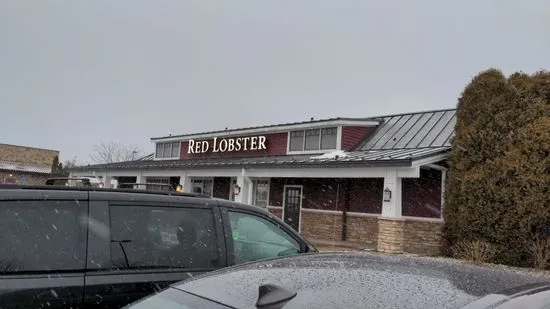 Red Lobster