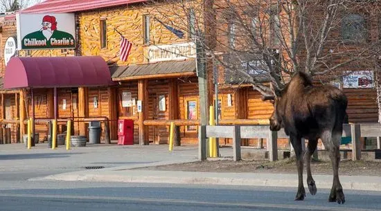 Chilkoot Charlie's