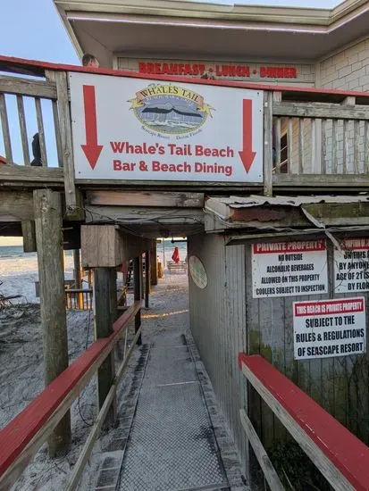 The Whale's Tail Beach Bar & Grill