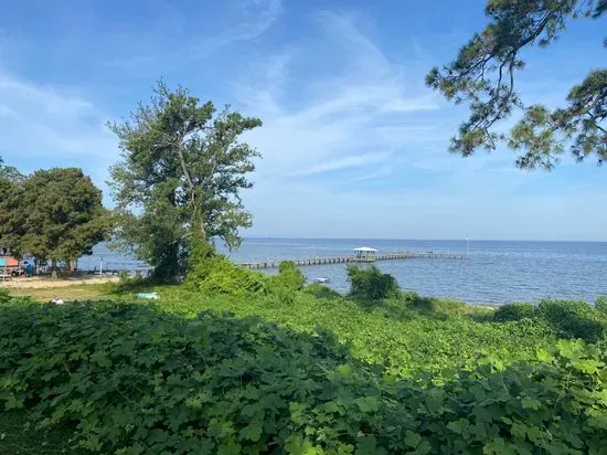 VFW Tiki Bar