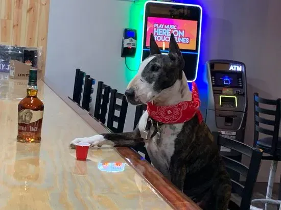 Maccabee's Bar And Grrr