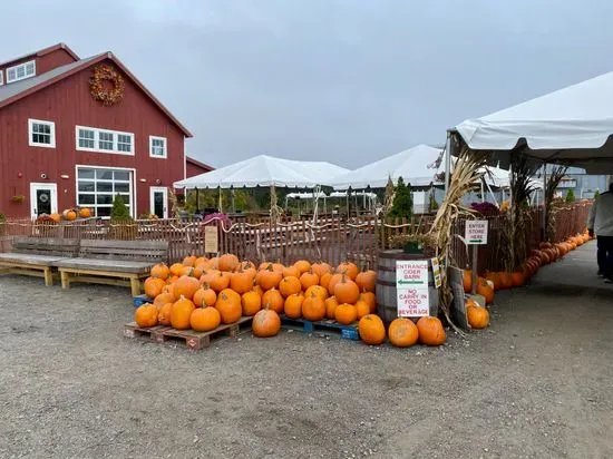 Cider Barn Taproom at Carlson Orchards