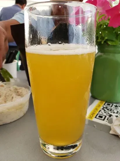 Odd Bird Brewing