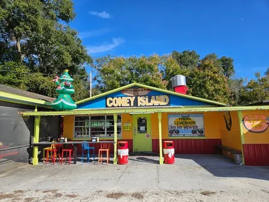 Coney Island Bushnell