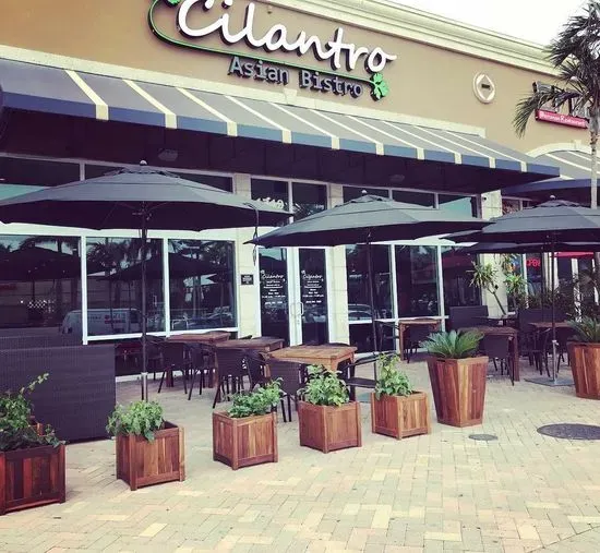 Cilantro Asian Bistro in Hallandale