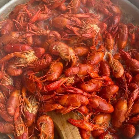 Dixie Land Mudbugs & More