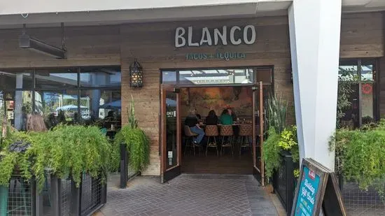 Blanco Cocina + Cantina