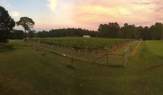 Teysha Vineyard