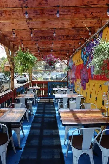 Sofia's Taqueria Forest