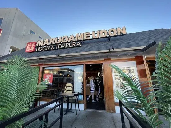 Marugame Udon