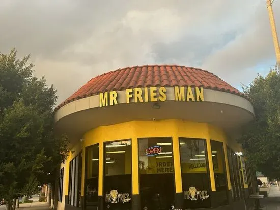 Mr Fries Man