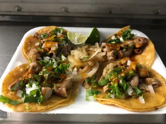 Tacos Jalisco mini tacos