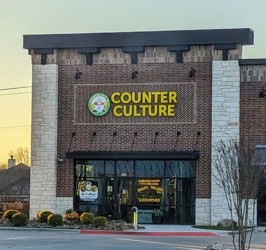 Counter Culture Frozen Yogurt