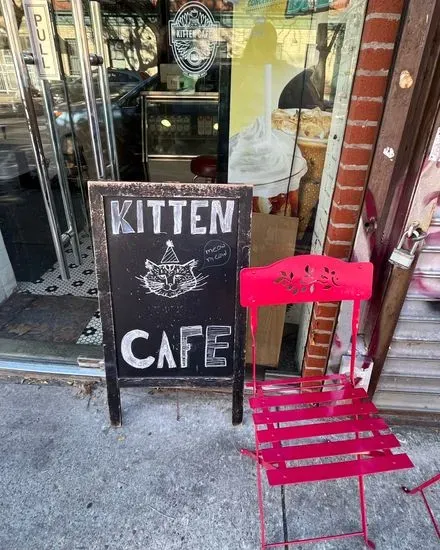 Kitten cafe