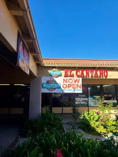 El Cantaro Vegan Taqueria