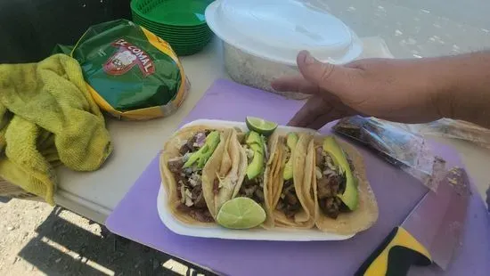 Tacos al vapor “El Gordito”