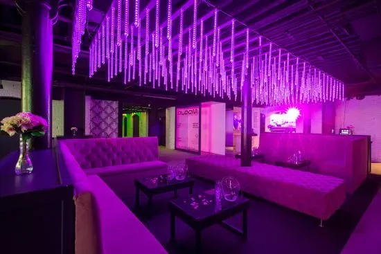 Bloom Nightclub