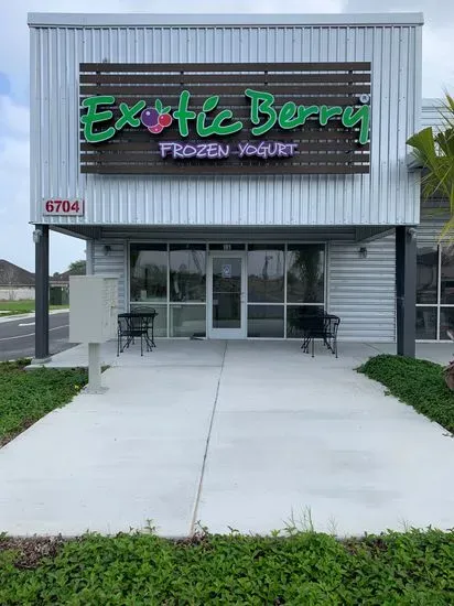 Exotic Berry Frozen Yogurt