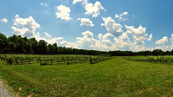 Junius Lindsay Vineyard