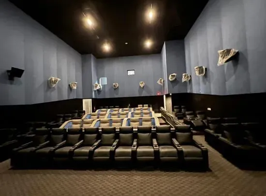 Paragon Theaters - Fenton + Axis15 Extreme