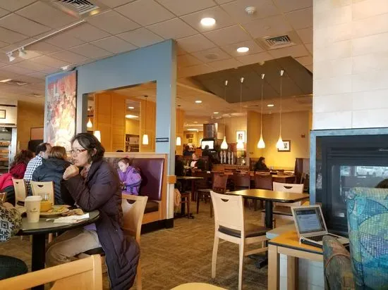 Panera Bread