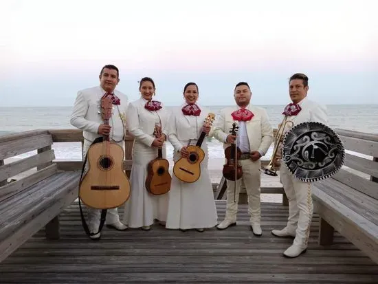 Fiesta Mariachi