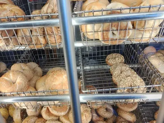 Wild Bagels