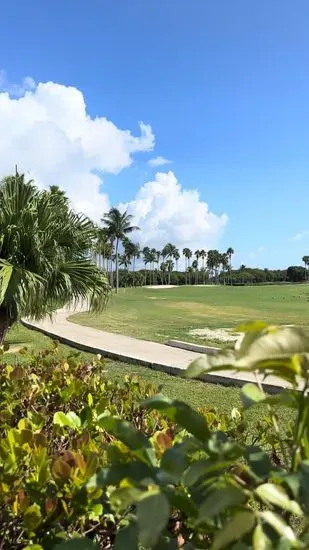 Links At Key Biscayne