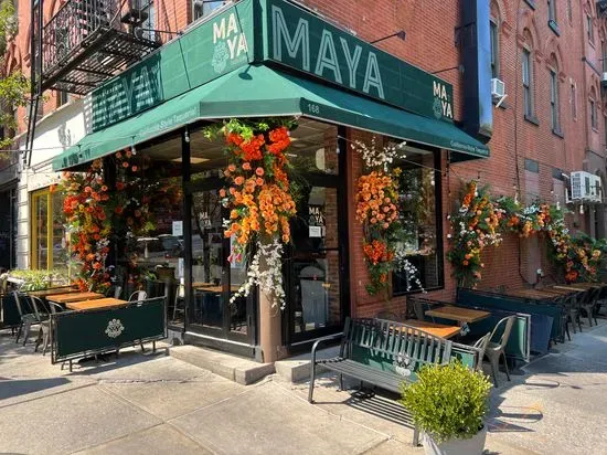 Maya Taqueria - 5th Avenue