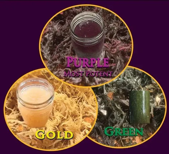 Flavors of Africa by Sheba Foods - Meals, Sea Moss [Raw, Gel & Smoothie-Gold, Green, Purple (Most Potent). We Accept EBT.