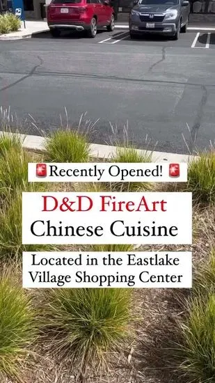 D&D FireArt Chinese Cuisine