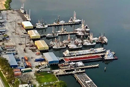 Tampa Shrimp Docks