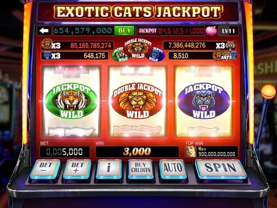 Emma's Slots & Video Poker