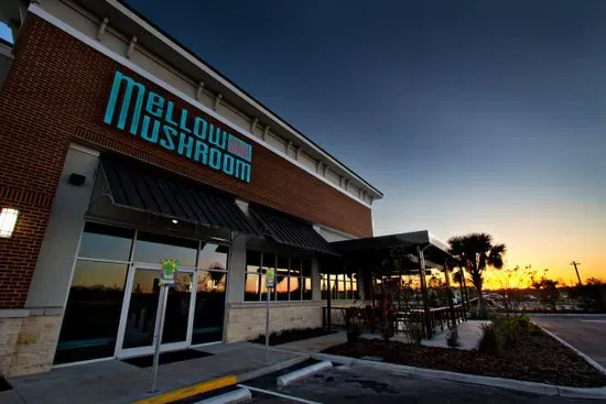 Mellow Mushroom Wesley Chapel