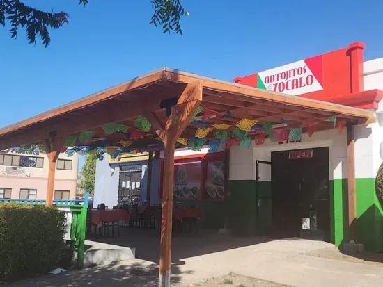 Antojitos Oaxaqueños.y poblanos (Zocalo)