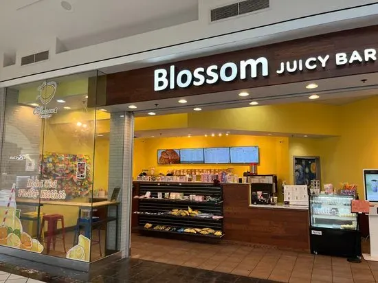 Blossom Juicy Bar (Fairfield Mall)