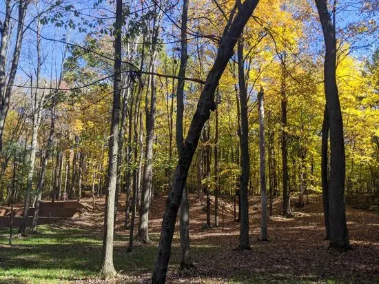 Rollin Ridge Disc Golf Course