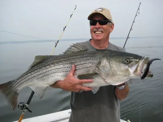 Chesapeake Adventures Sportfishing