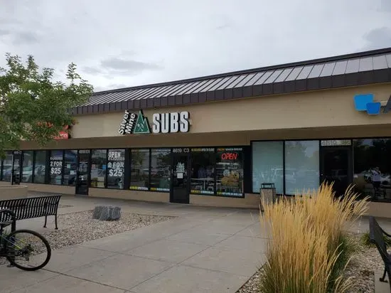 Silver Mine Subs
