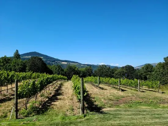 Cathedral Ridge Winery